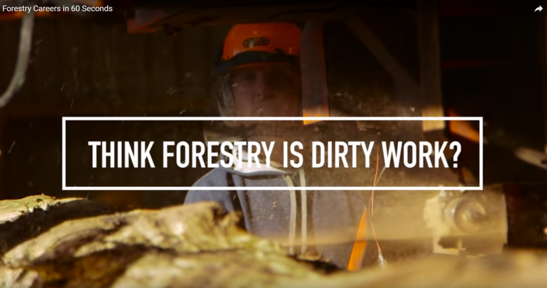 Still from ICF forestry careers video