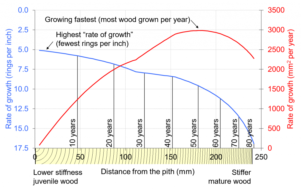 An illustration based on our data from research on 83 year old Sitka spruce from Kielder Forest