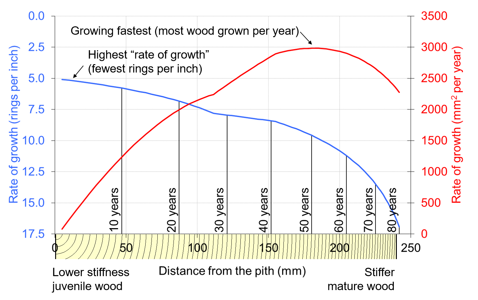rate of growth