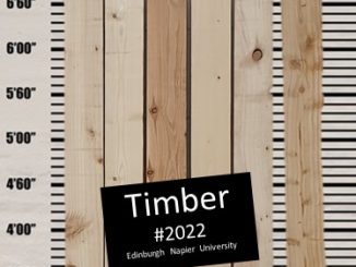 A line up of timber