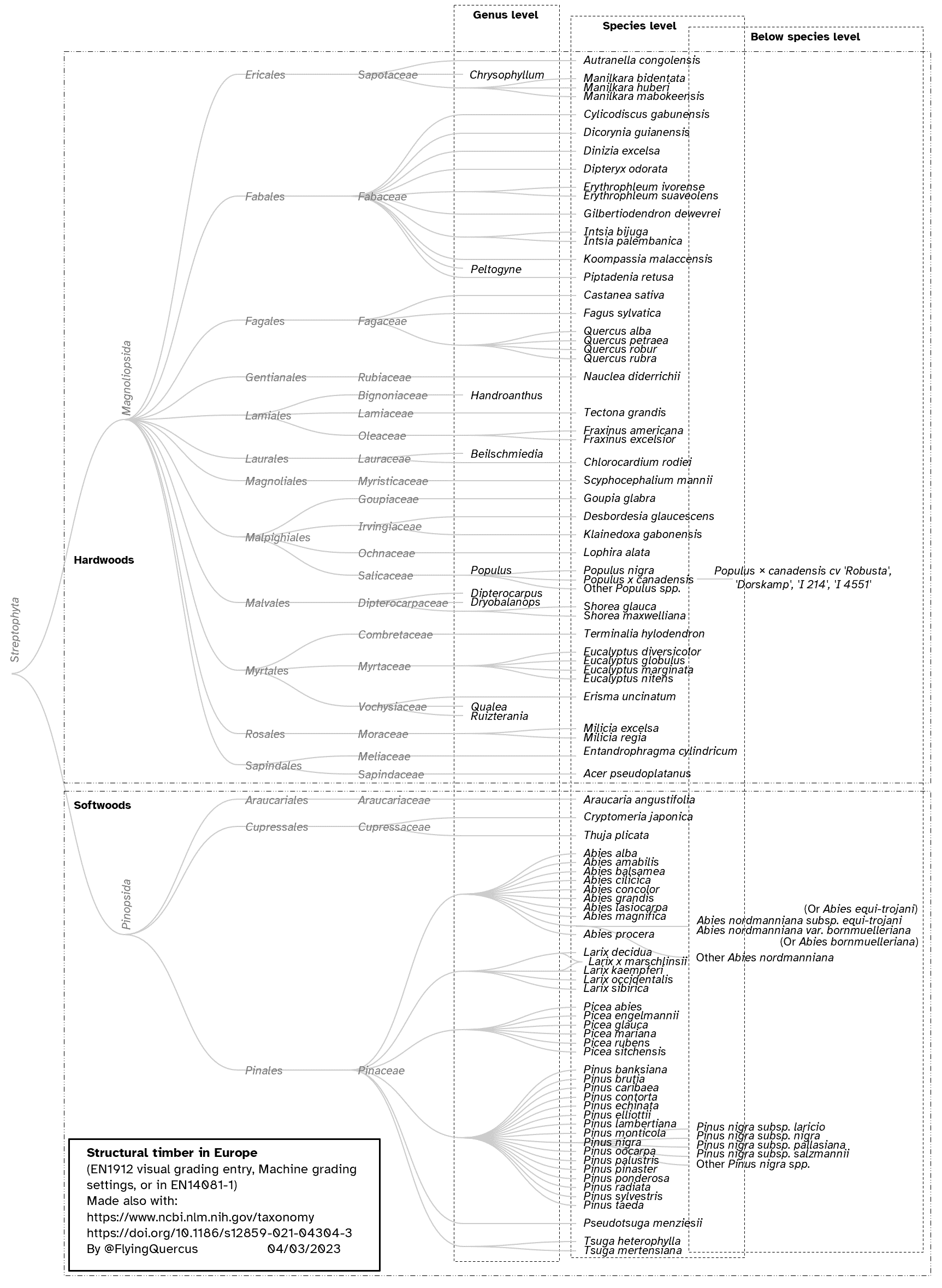 A taxonomy diagram