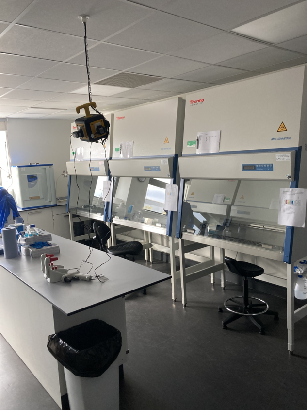 Sighthill science labs benefit from £700k upgrade - The School of ...