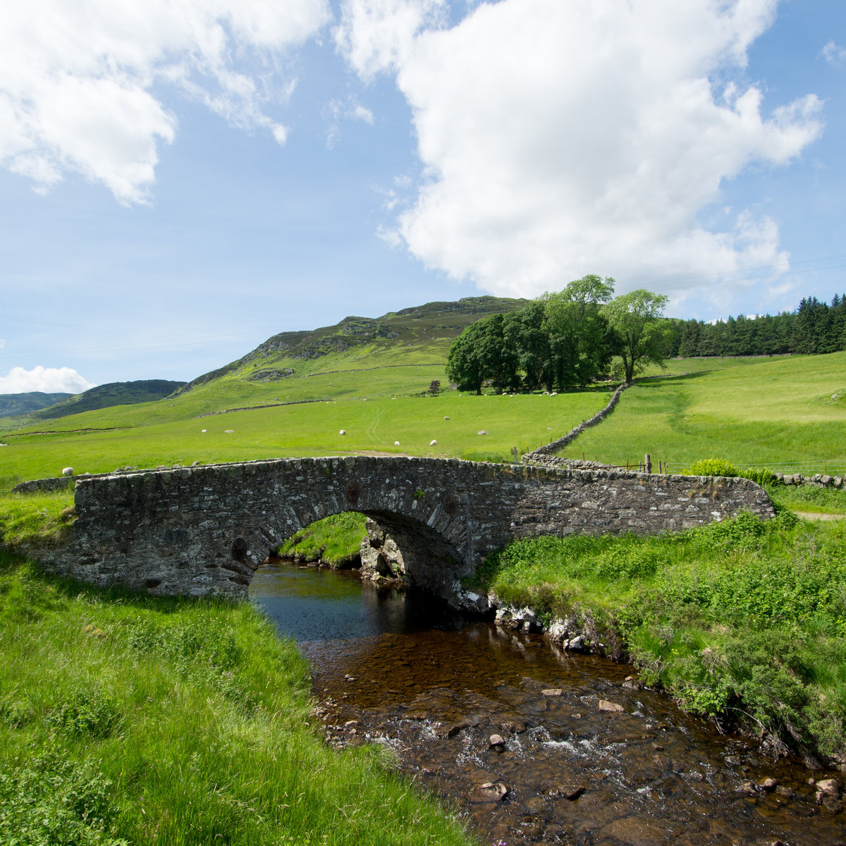 Scottish Tourism views – Rural scene
