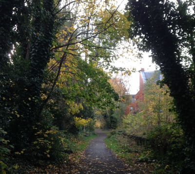 Old Network Railway Path with fallen autumn leaves covering the path