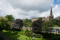 Princes Street Gardens