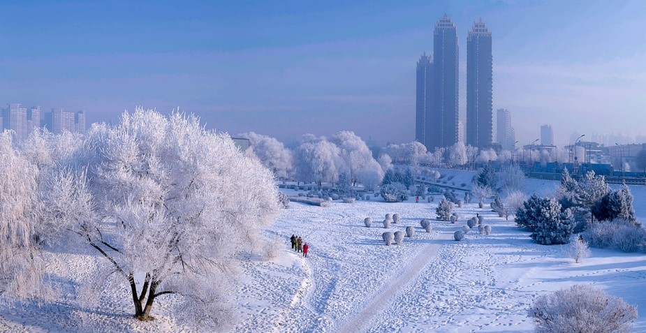 Snowy landscape