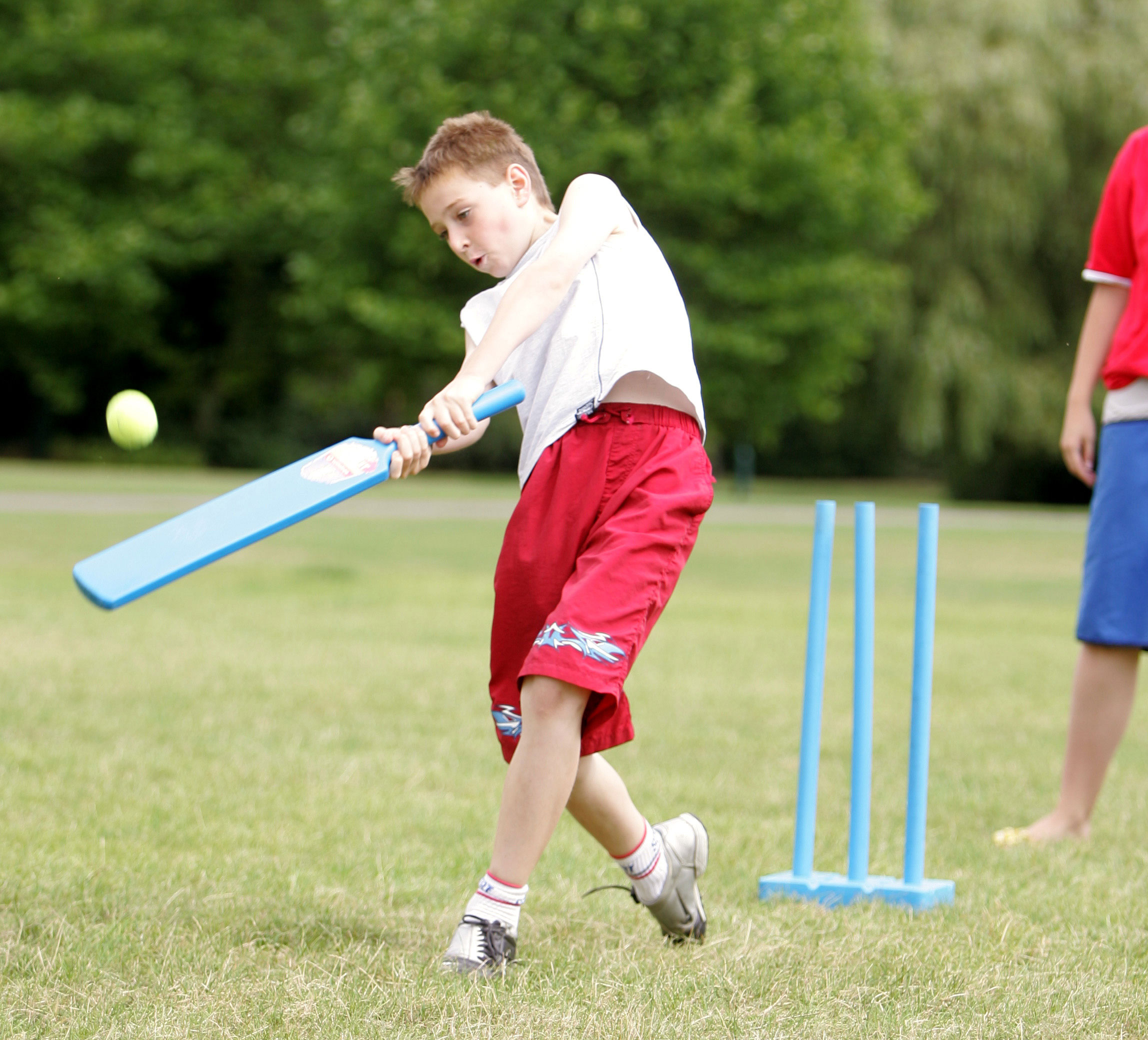 How to play sports. Крикет. Крикет спорт. Игра крикет детская. Ворота для крикета.